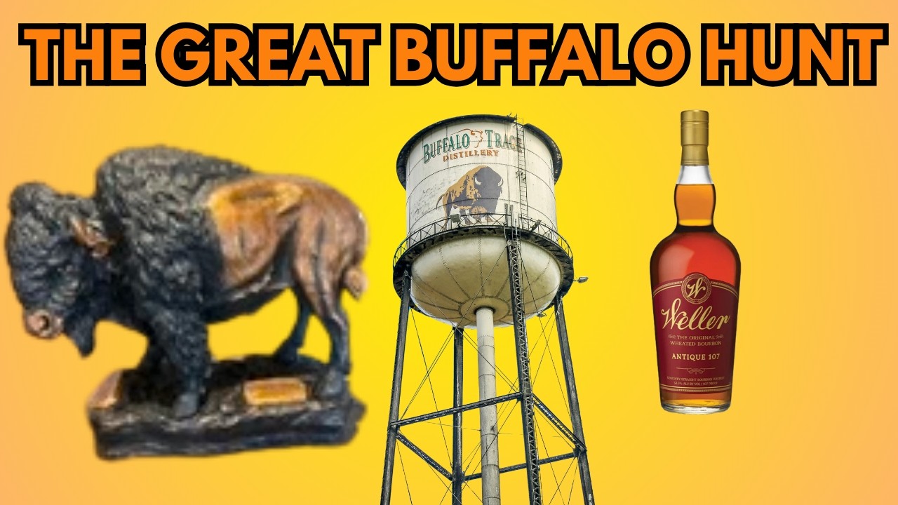 Великая охота на бизонов — посещение заповедника «Буффало Трейс»