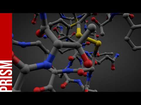 Video: Anong covalent bond ang binubuo ng 2 shared electron?