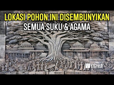 Video: Pohon hidup. Signifikansi dalam alam dan kehidupan manusia