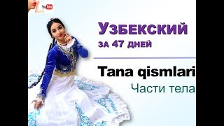 Узбекский язык для начинающих. Части тела.