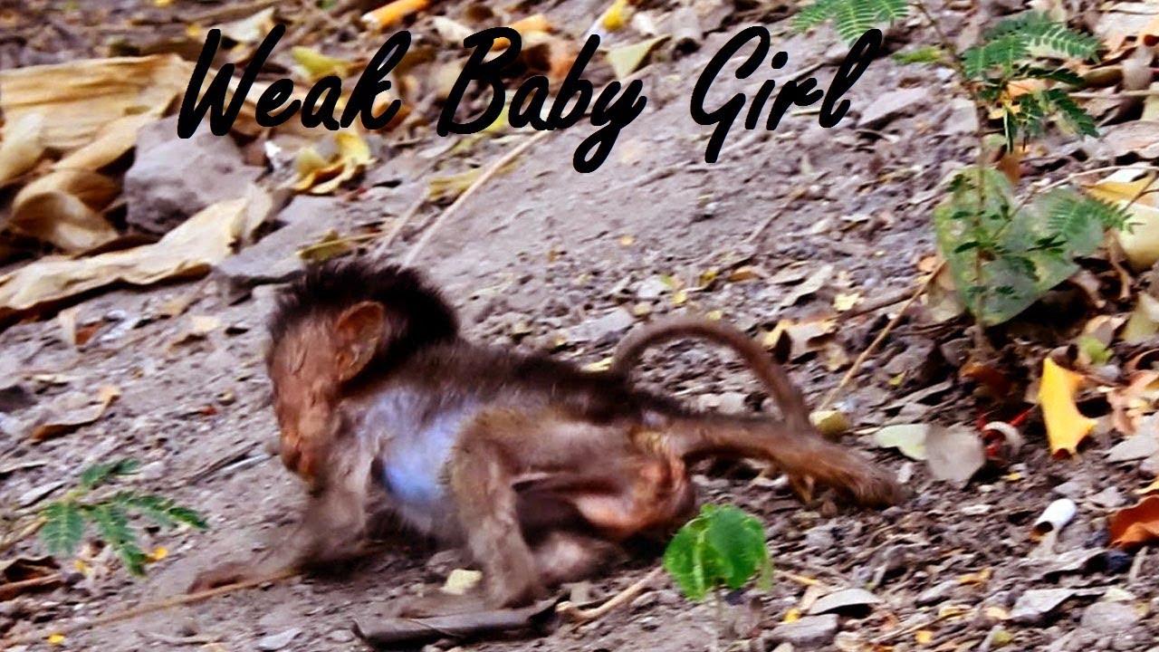 foundry Heidi is very Weak, She Leaves Mom Walking Fall So Sad To See Heidi In Situation