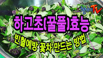 하고초(꿀풀) 효능, 하고초 꽃 차 만드는 방법,중년건강