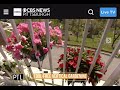 CBS Pittsburgh Today Live Segment