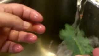 Kale Chips Recipe Preparation - How to Clean & Prepare Kale Properly for the Best Kale Chips