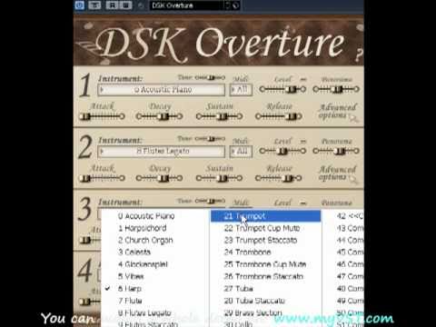 Dsk