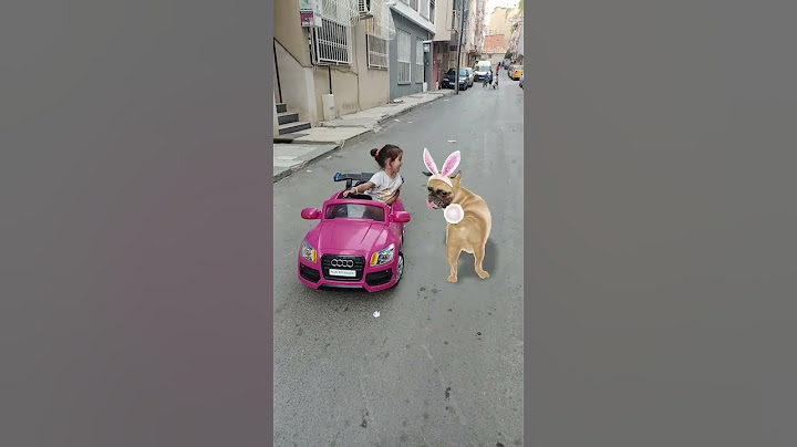 köpusle  araba suruyoz #müzik #tiktok #dans #şarkı #köpek