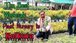 The Best wholesale Plant Nursery in Kolkata. Plant prices start from Rs. 5 only.