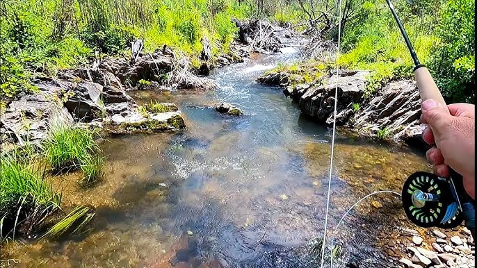 St. Croix Mojo Trout Fly Rod Review: One Of My FAVORITE Fishing