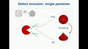 Viral Self-Assembly and Mechanical Stress Relaxation