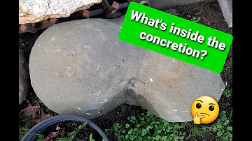 What are fossil concretions?