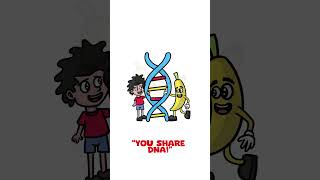 Banana Facts That Will Break Your Brain