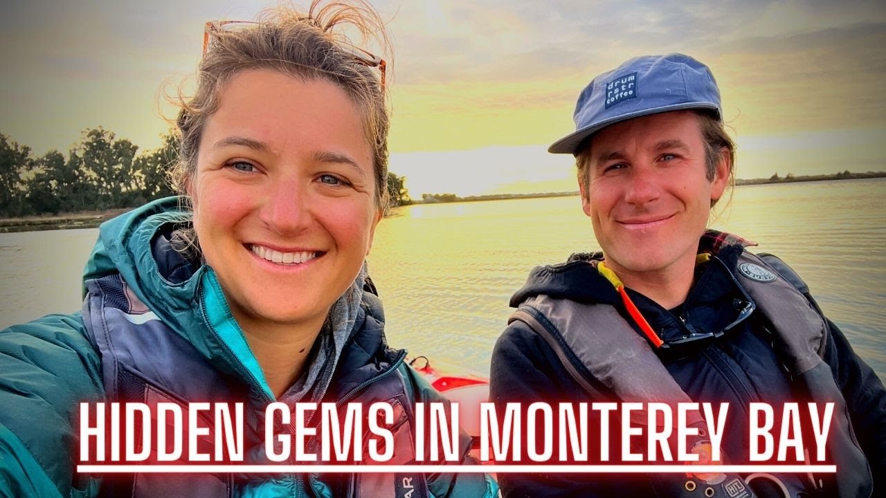 Sailing To MEXICO | Incredible Wildlife In MONTEREY BAY
