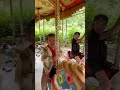 #jalanjalan #numnum #beranda #safari #tahunbaru #idgitaf #sediaakusebelumhujan