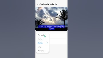 How To Change Captions Font Size on Google Chrome Mobile App #androidsettings #androidphone #howto