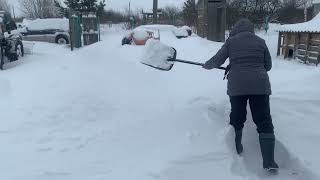 видео: Как мы пережили ураган Ваня. Ремонт снегоуборщика Huter 4100. Неудачный тюнинг. Работа над ошибками. картинка: Как мы пережили ураган Ваня. Ремонт снегоуборщика Huter 4100. Неудачный тюнинг. Работа над ошибками.