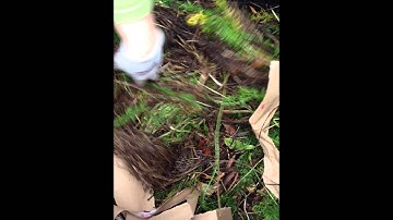 Lunchtime Walks with Annette and Shari -- Compost Demonstration Garden