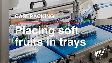 Robot cell for casepacking fruit punnets | KV-Techniek