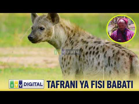 FISI WATATU WAUAWA BABATI BAADA YA KUSABABISHA VIFO