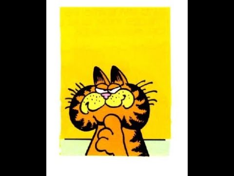 33 Frases de Garfield  Gatos de desenho animado, Quadrinhos