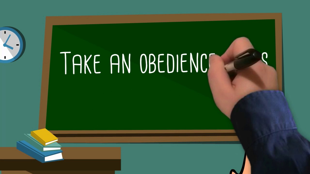 How to cure a dogs separation anxiety - YouTube