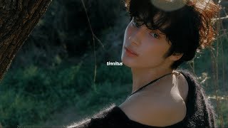 txt - tinnitus (sped up + reverb)