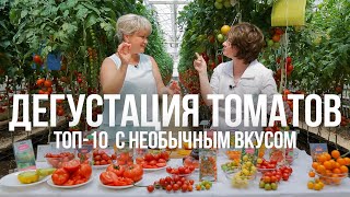 Дегустация томатов. Самые урожайные и вкусные сорта томатов для теплицы и для открытого грунта