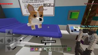 Working as a VET in Minecraft PE screenshot 5