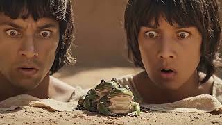 Celebrity You’ve Never Seen the 10 Plagues Like This - FULL Passover Story Net Worth