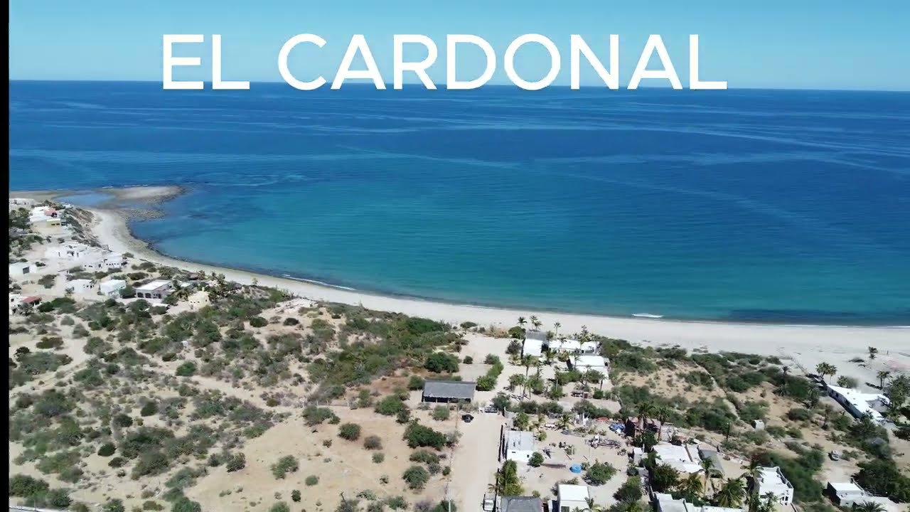 EL CARDONAL AREA DRON VIDEO/FEBRERO2024