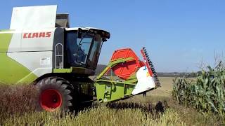 Żniwa rzepakowe 2017 //Claas Tucano 320// //John Deere//