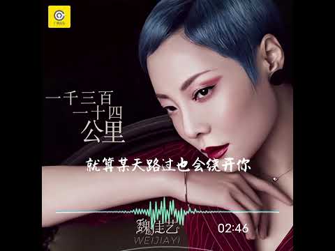【3D】一千三百一十四公里-魏佳艺
