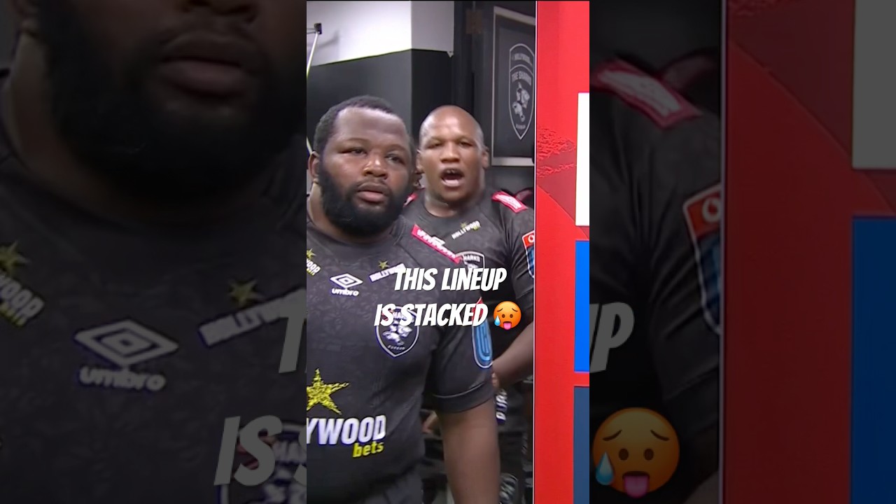 The Hollywoodboks Sharks are stacked 💪🦈