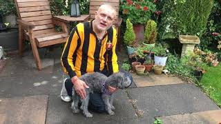 Dilwyn, My Bedlington Terrier,  Has His First Puppy Trim