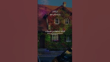 قران كريم بصوت جميل جدا #اكسبلور #اقنباسات #تيك_توك #راحة_نفسية #duet #دويتو #لايك #حالات_واتس