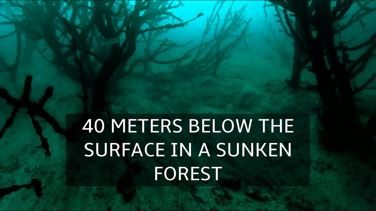 Deep Dive at Kreidesee Hemmoor (Einstieg 5) – Deep Dive Adventure