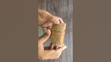 How to Make Bird Feeder With Coconut Shell🐦HomeMadeBirdFeeder🦜Easy&SimpleCrafts🐦Bestoutofwaste 🦜 DIY