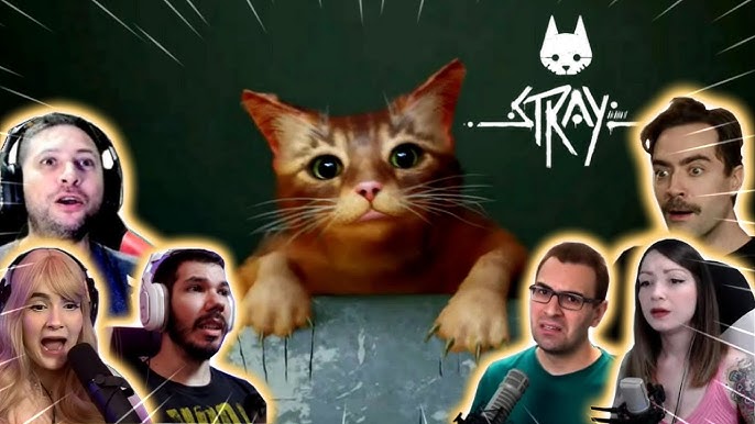Stray, o Jogo do Gato, será lançado oficialmente amanhã - tudoep