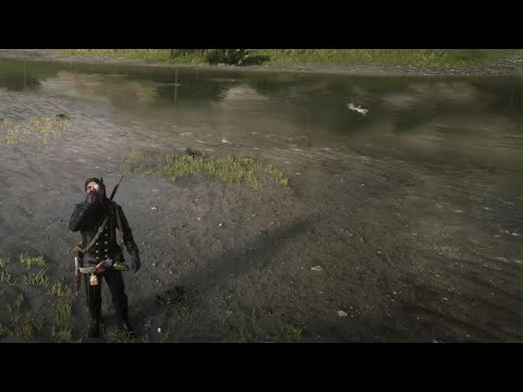 Red Dead Redemption 2 never seen rabbit swim before has to die 😂😂