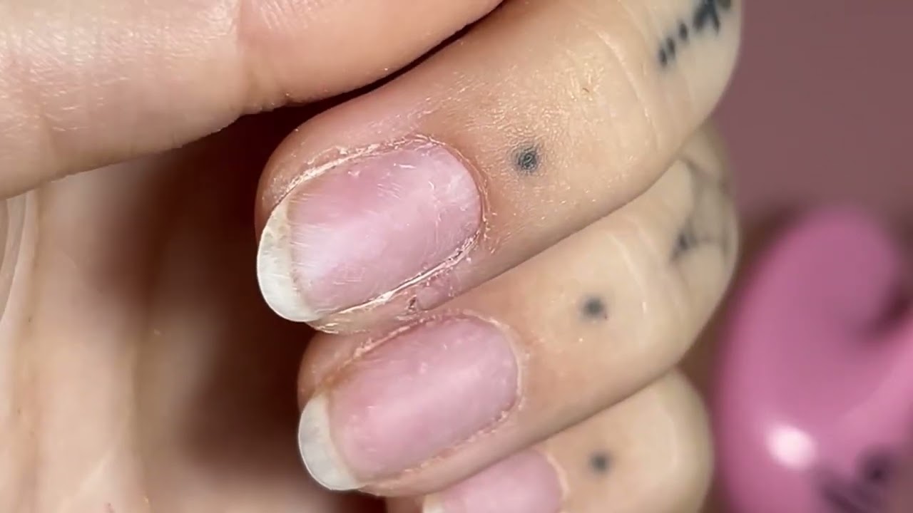 Cola de gato gold pink✨😺🎀🌷