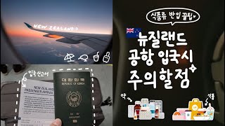 🇳🇿뉴질랜드 입국시 주의사항!! 🍖💊식품류&약품류 짐싸기 꿀팁🧳🍯🐝 | 비행기에 내려서 공항을 벗어나기까지