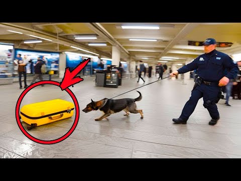Video: Pirson Hava Limanına çatmaq üçün GO Transitindən istifadə edin