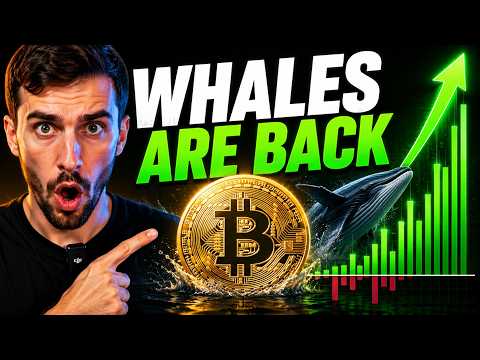 BITCOIN WHALES ARE BUYING AGAIN — ETF INFLOWS SURGE
