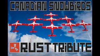Tribute to the Canadian Snowbirds | Rust Video Game screenshot 1