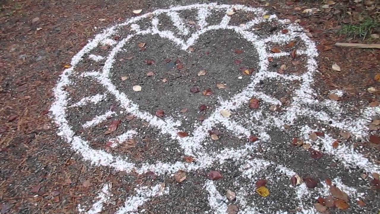 Creative Seashell Art on the Beach