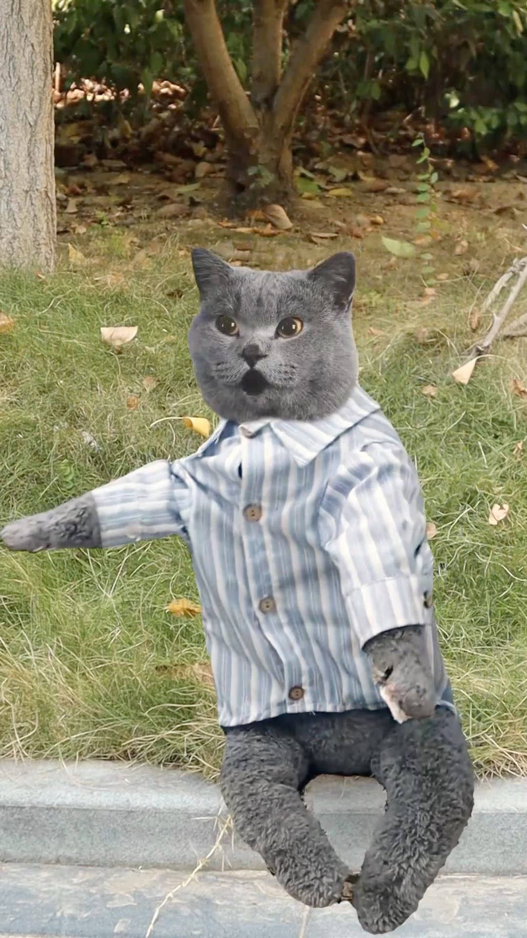 ?Sweet Candy Time With My Lively Frog Buddy!?? #catvideos #catmemes #trending