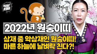 2022년 원숭이띠 운세 대공개 악삼재가 제대로 치고 들어왔다?! 온갖 시련을 겪을 수 있으니 주의하라! 악…