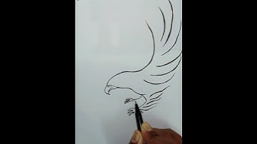 Thumbnail of Flying eagle 🦅 Drawing || Bat chora karta face pe song #shorts