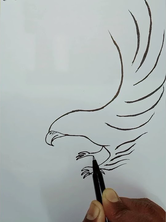Flying eagle 🦅 Drawing || Bat chora karta face pe song #shorts
