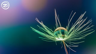 Beautiful Relaxing Music, Soft Music for Meditation, "Delicate Drops" screenshot 3