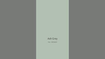 Ash grey #shorts #ambientcolor #colortherapy #relaxing #color #ashgrey #ash #grey #screensaver